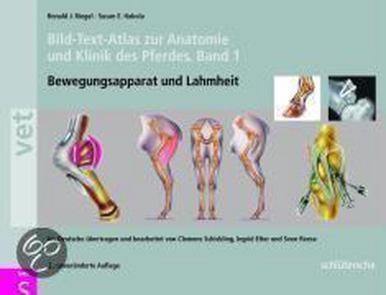 Bild-Text-Atlas zur Anatomie und Klinik des Pferdes 1 - cover