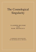 Cambridge Monographs on Mathematical Physics - The Cosmological Singularity