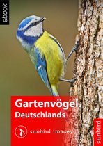 Gartenvögel Deutschlands - Vögel Erkennen, Bestimmen und Schützen