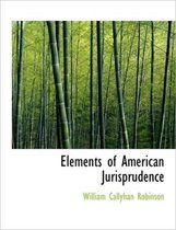 Elements of American Jurisprudence