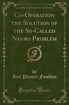 Co-Operation the Solution of the So-Called Negro Problem (Classic Reprint)