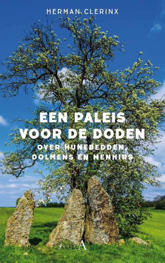 Een paleis voor de doden - cover