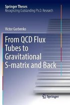 Springer Theses- From QCD Flux Tubes to Gravitational S-matrix and Back