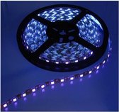 5 Meter - UV Ultraviolet 12V Led Strip 60LED IP20 SMD5050