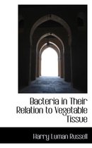 Bacteria in Their Relation to Vegetable Tissue