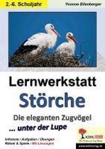 Lernwerkstatt Störche