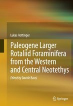 Paleogene larger rotaliid foraminifera from the western and central Neotethys