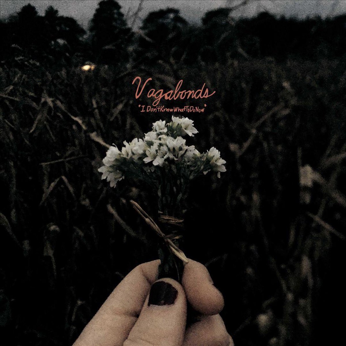 I Don't Know What to Do Now - Vagabonds