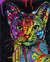 Schilderen op nummer Volwassenen - Gekleurde kat poes - 40 x 50 centimeter