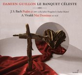 Le Banquet Celeste, Damien Guillon & Celine Scheen - Psalm 51 / Nisi Dominus (CD)