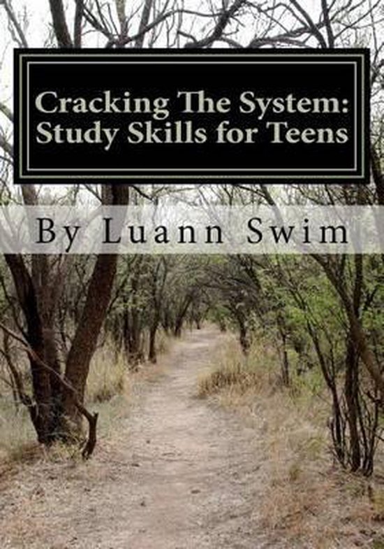 Cracking The System - cover