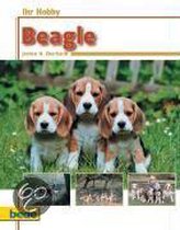 Ihr Hobby Beagle