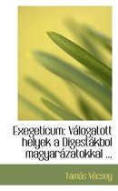 Exegeticum