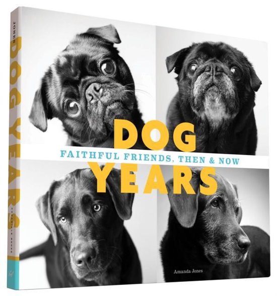 Dog Years - cover