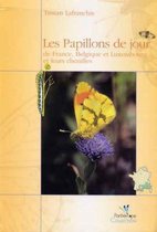 Les Papillons De Jour De France, Belgiqueet Luxemboug Et Leurs Chenilles / the Butterflies of France, Belgium and Luxembourg and Their Caterpillars