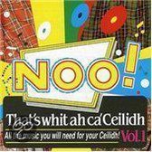 Hooley Ganzband - Noo! That's Whit Ah Ca' Ceilidh Vol (CD)