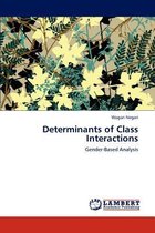 Determinants of Class Interactions