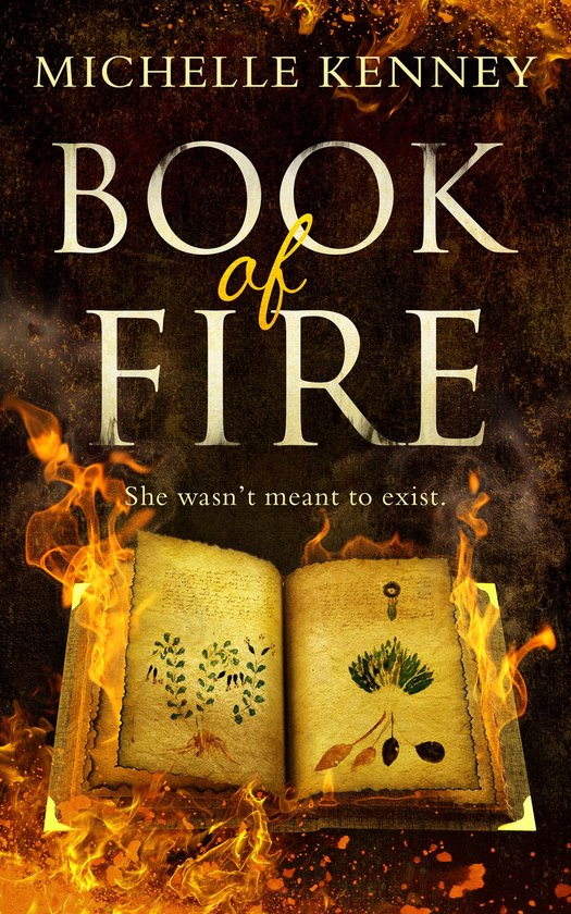 The Book of Fire series 1 - Book of Fire (The Book of Fire s ... - cover