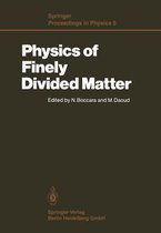 Physics of Finely Divided Matter
