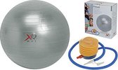 XQ Max Fitnessbal - 75 cm - Zilver