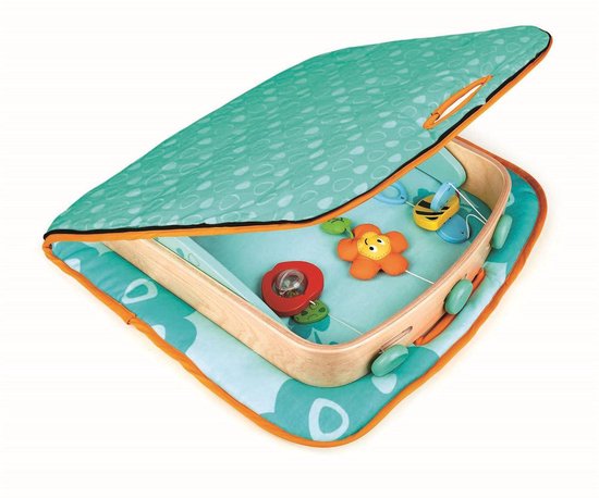 Hape Bebe Gym Avec Tapis De Jeu Vert Portable 5 Pieces Bol Com