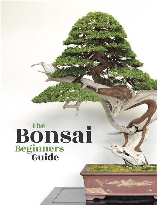 Bonsai - cover