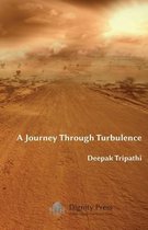 A Journey Through Turbulence