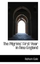 The Pilgrims' First Year in New England