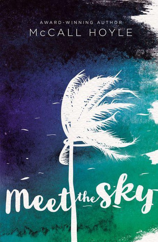 Meet the Sky by McCall Hoyle