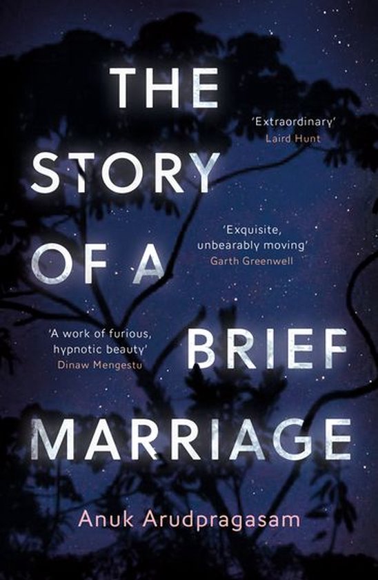 The Story of a Brief Marriage - cover