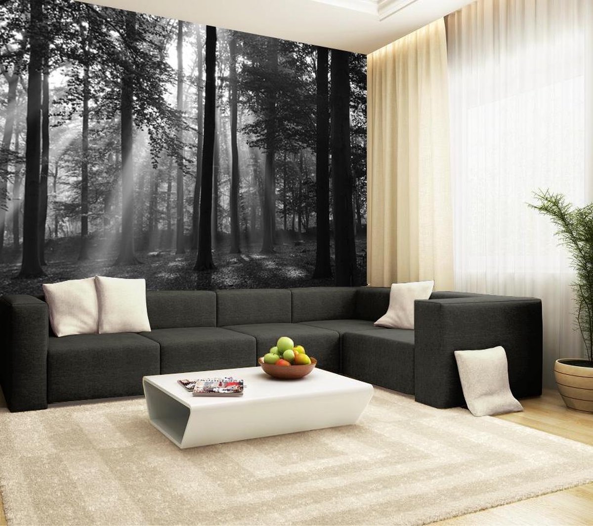 vandaag Samenpersen Verwijdering Homedecoration Fotobehang - Zwart wit foto Bos in de ochtend - Natuur - 366  x 254 cm. | bol.com