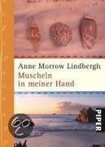 Muscheln in meiner Hand