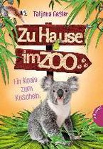 Zu Hause im Zoo, Band 4: Ein Koala zum Kuscheln