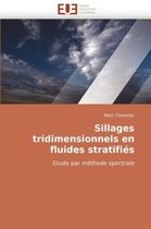 Sillages tridimensionnels en fluides stratifiés