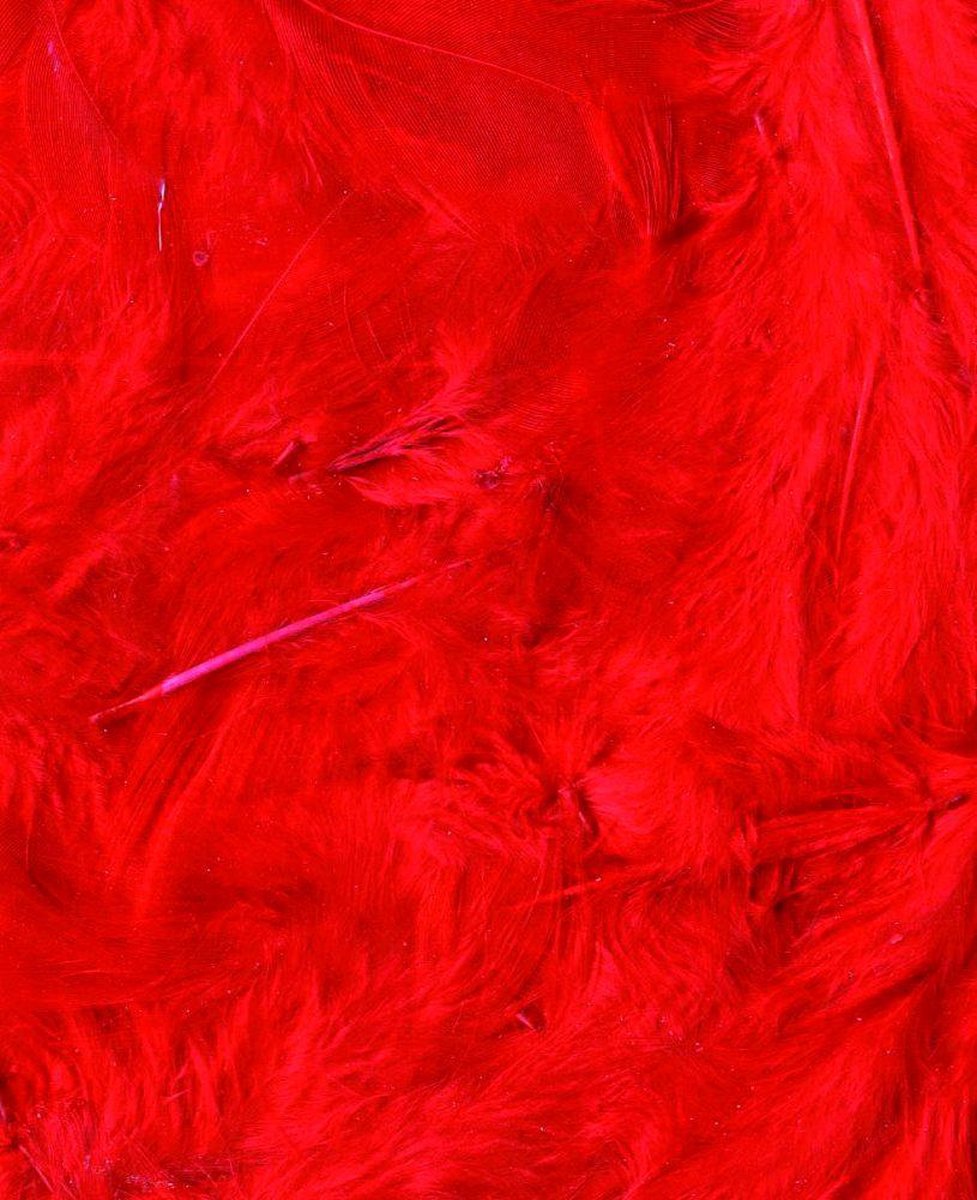 Artemio Pluimen 3 Gr Rood