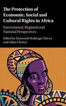 Protection of Economic, Social and Cultural Rights in Africa