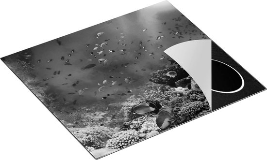 Chefcare Inductie Beschermer Onderwater Vissen met Koraal in de Zee - Zwart Wit - 57,6x51,6 cm - Afdekplaat Inductie - Kookplaat Beschermer - Inductie Mat