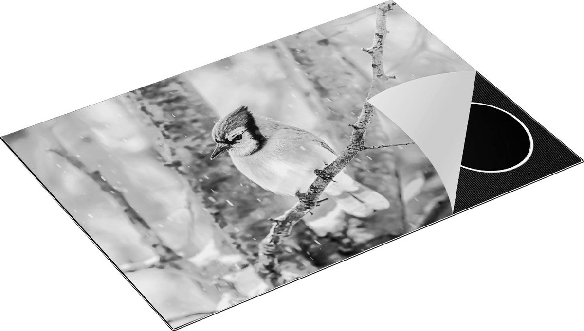 Chefcare Inductie Beschermer Blauwe Gaai Vogel in de Sneeuw - Zwart Wit - 75x50 cm - Afdekplaat Inductie - Kookplaat Beschermer - Inductie Mat