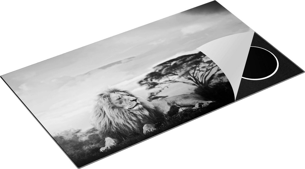 Chefcare Inductie Beschermer Leeuw tijdens Zonsondergang - Zwart Wit - 90x55 cm - Afdekplaat Inductie - Kookplaat Beschermer - Inductie Mat