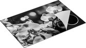 Chefcare Inductie Beschermer Roze Orchidee Bloemen - Zwart Wit - 80x50 cm - Afdekplaat Inductie - Kookplaat Beschermer - Inductie Mat