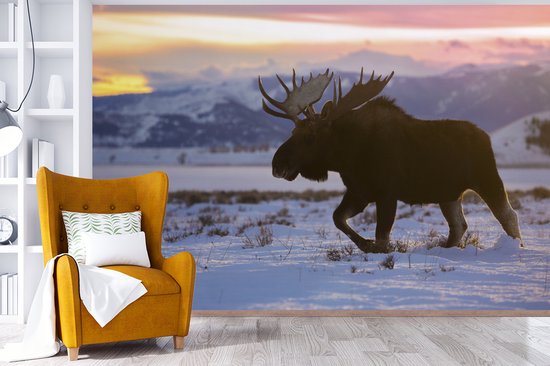 Papier peint Papier peint photo en vinyle - Elk marche dans la neige largeur 390 cm x hauteur 260 cm - Tirage photo sur papier peint (disponible en 7 tailles)