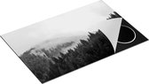 Chefcare Inductie Beschermer Groen Bos met Bomen tijdens de Mist - Zwart Wit - 81x52 cm - Afdekplaat Inductie - Kookplaat Beschermer - Inductie Mat