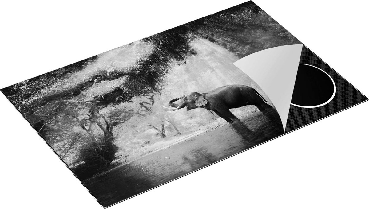 Chefcare Inductie Beschermer Vrolijke Olifant in het Water - Zwart Wit - 80x55 cm - Afdekplaat Inductie - Kookplaat Beschermer - Inductie Mat