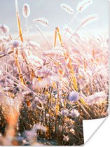 Poster Gras - Zon - Winter - Sneeuw - 60x80 cm
