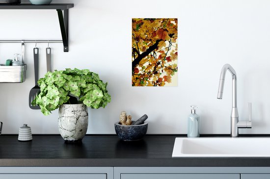 Affiche Arbres - Feuilles d'automne - Nature - 20x30 cm