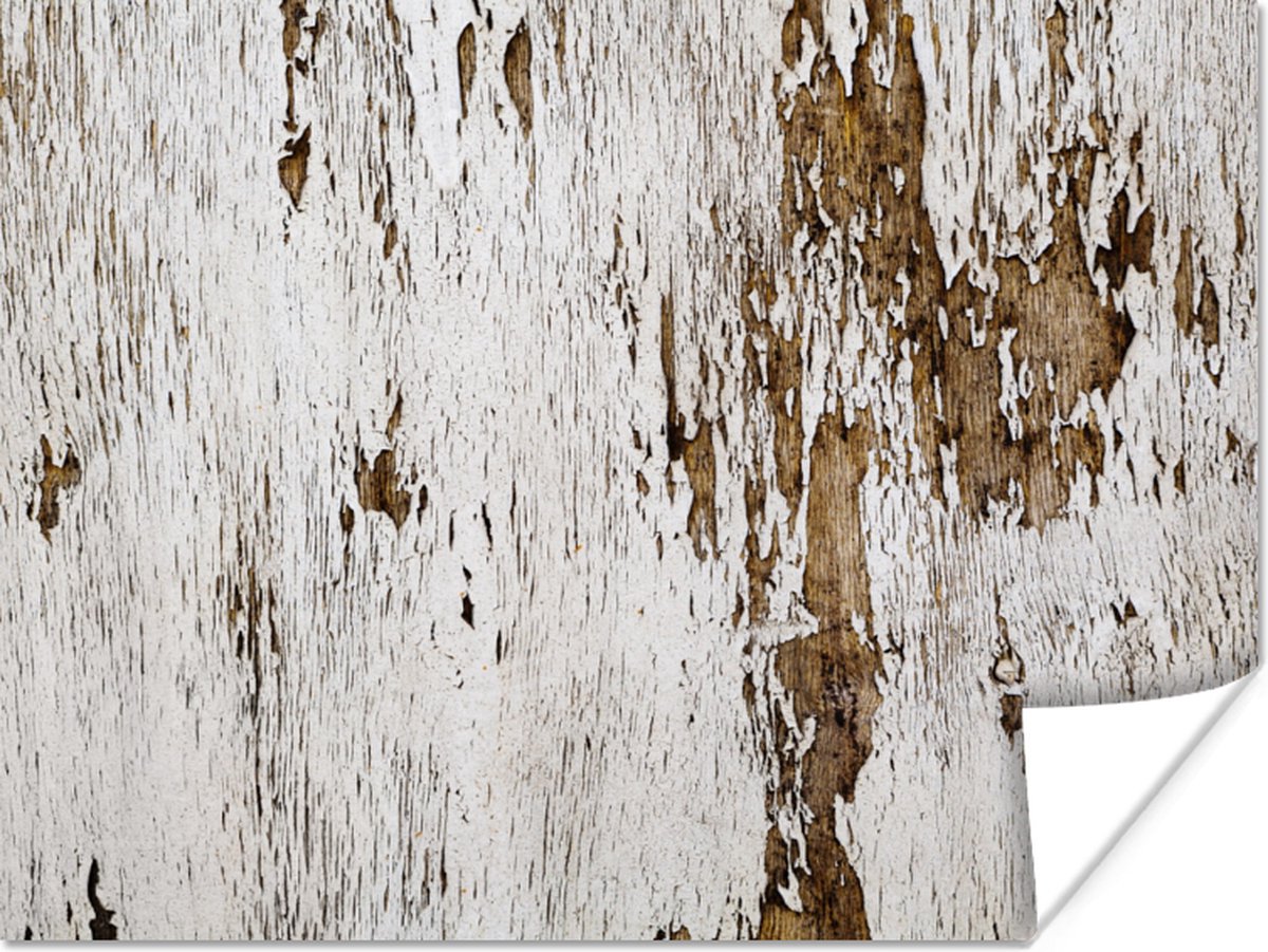 Poster Hout - Rustiek - Boom - 120x90 cm