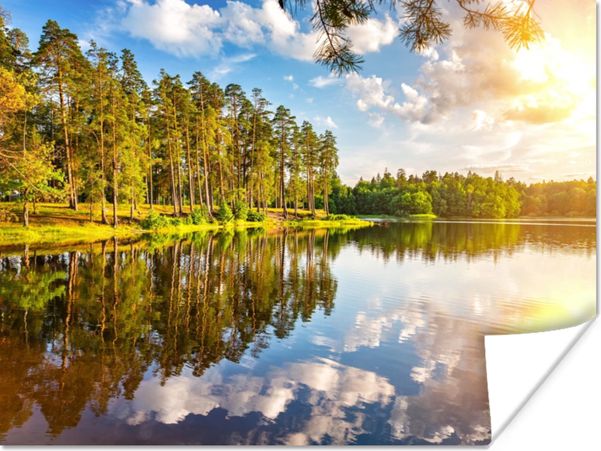 Poster Water - Bomen - Natuur - 80x60 cm