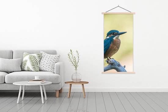 Porte-affiche avec affiche - Affiche scolaire - Martin-pêcheur - Branche - Vogel - 90x180 cm - Lattes vierges
