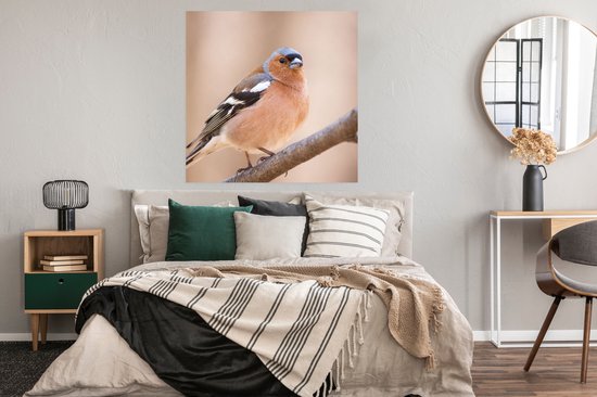 Vink met oranje borst, witte vleugelstrepen en grijze kop zittend op een tak.
