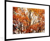 Cadre photo avec affiche - Forêt - Automne - Saisons - 90x60 cm - Cadre pour affiche